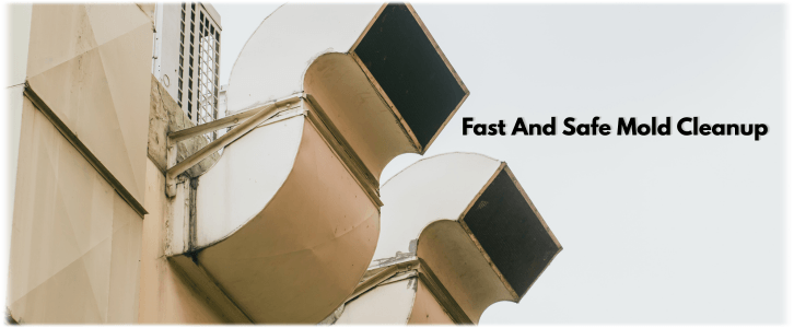 Air Duct Mold Removal in Wheeling IL